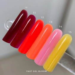 BLOOM   Gel FAST   #10   15мл   Гель для моделирования