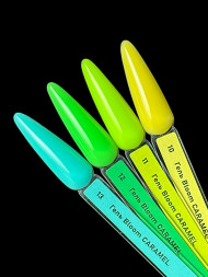 BLOOM   Gel CARAMEL   #12   15мл   Гель для моделирования